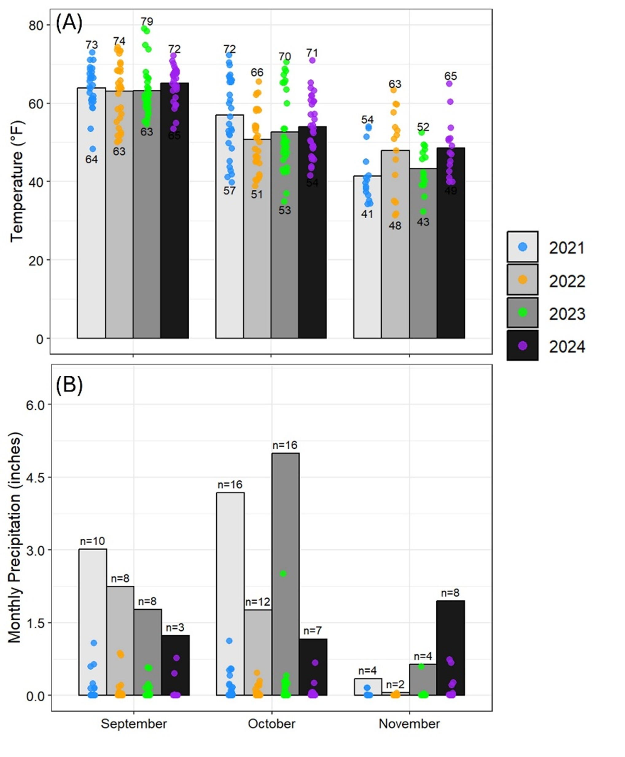 Two-panel bar-and-scatter plots showing temperature and precipitation from September to November across four years (2021&ndash;2024). (A) Average monthly temperatures (&deg;F) are shown as bars for each year (blue 2021, gray 2022, green 2023, black 2024), with individual daily data points overlaid as dots. September shows the highest temps (bars ~63&ndash;65&deg;F, dots ranging 63&ndash;79&deg;F), while November shows the lowest (bars ~41&ndash;52&deg;F, dots ~43&ndash;65&deg;F). (B) Monthly precipitation (inches) for the same months and years. Bars represent monthly totals, with dots showing daily rainfall. Precipitation is highest in October (up to ~5.5&ndash;6 inches in 2022 and 2024) and lowest in November (&le;1 inch except 2024 at ~2.5 inches). Sample sizes (&ldquo;n=&rdquo;) are labeled above bars.